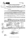 Vista preliminar de documento RDR 10539-2024