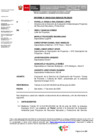 Vista preliminar de documento Informe N° 00003-2025-SENACE-PE/DEAR