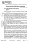 Vista preliminar de documento ACM24N330