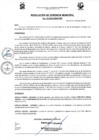 Vista preliminar de documento Resolucion Gerencia N°03-2025