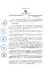 Vista preliminar de documento RES-032-2025-GRDS