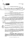 Vista preliminar de documento RDR 10551-2024
