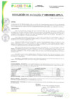 Vista preliminar de documento RA N°020-2025-MPP-A