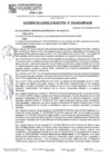 Vista preliminar de documento ACM24N338