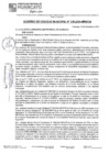 Vista preliminar de documento ACM24N339