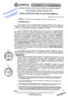 Vista preliminar de documento RES. REC 0035-2025
