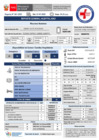 Vista preliminar de documento REPORTE GTGRD 21-01 TURNO DIA