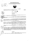 Vista preliminar de documento RDR 10566-2024