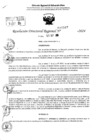 Vista preliminar de documento RDR 10567-2024