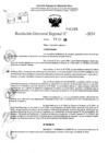 Vista preliminar de documento RDR 10568-2024