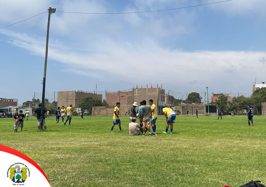 noticia 1178-1
