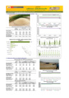 Vista preliminar de documento Boletín de abastecimiento y precio del ARROZ - 21/01/2025