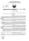 Vista preliminar de documento RDR 10591-2024