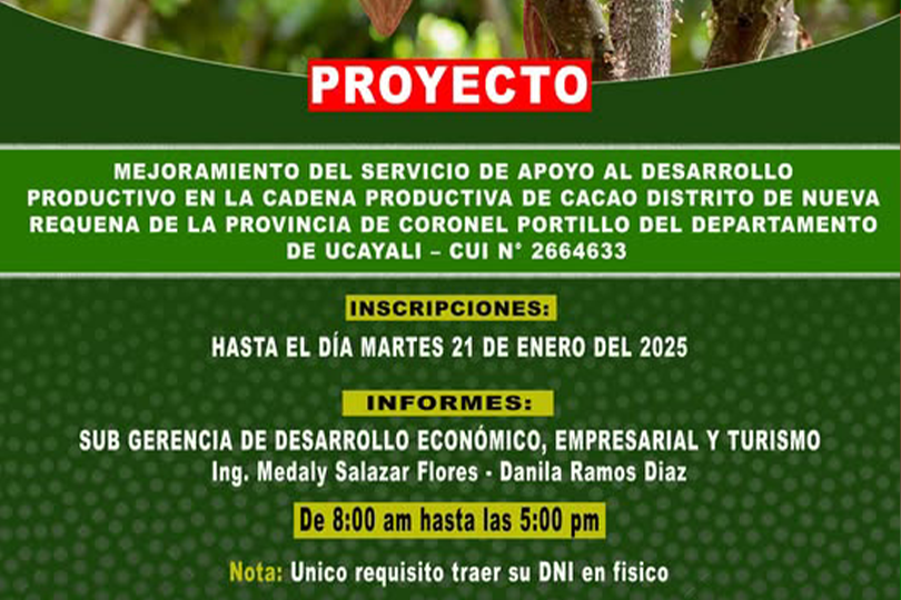 Flyer de la actividad