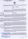Vista preliminar de documento RD 0010