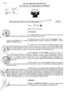 Vista preliminar de documento RDR 10594-2024