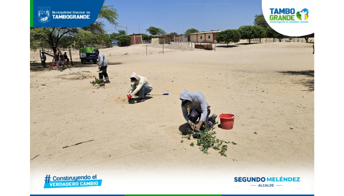 Campaña de reforestación “Siembra conciencia en el Día de la Educación Ambiental”