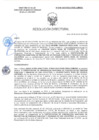 Vista preliminar de documento RD-0290-2025-DSAIA-DIRIS-LE-MINSA