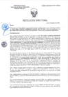 Vista preliminar de documento RD-0340-2025-DSAIA-DIRIS-LE-MINSA