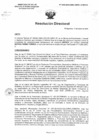 Vista preliminar de documento R.D. 0046-2025-DMID-DIRIS- LE-MINSA