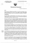 Vista preliminar de documento R.D. 0047-2025-DMID-DIRIS- LE-MINSA