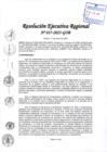 Vista preliminar de documento RER 017-2025-GOB