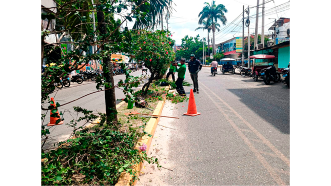 Trabajos rutinarios de poda y mantenimiento de árboles en el Jr. Alfonso Ugarte Cdra. 07,08,09 y 10.