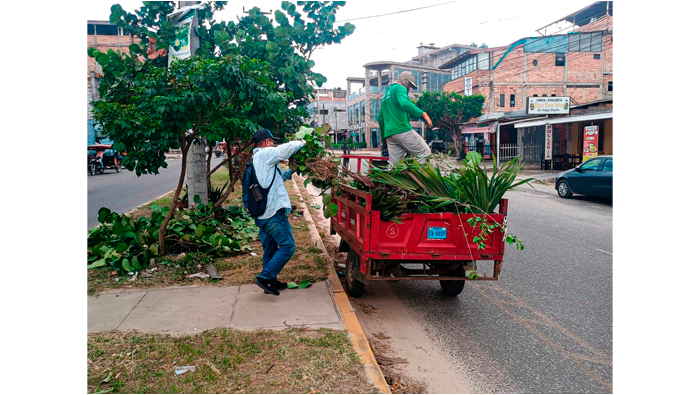 Trabajos rutinarios de poda y mantenimiento de Γ‘rboles en el Jr. Alfonso Ugarte Cdra. 07,08,09 y 10.