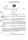Vista preliminar de documento RDR 10596-2024