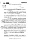 Vista preliminar de documento RDR 10599-2024