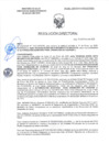 Vista preliminar de documento RD-0342-2025-DSAIA-DIRIS-LE-MINSA