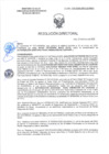 Vista preliminar de documento RD-0343-2025-DSAIA-DIRIS-LE-MINSA