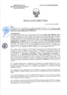 Vista preliminar de documento RD-0347-2025-DSAIA-DIRIS-LE-MINSA