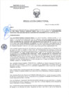 Vista preliminar de documento RD-0351-2025-DSAIA-DIRIS-LE-MINSA