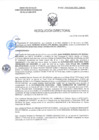 Vista preliminar de documento RD-0352-2025-DSAIA-DIRIS-LE-MINSA