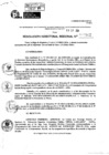 Vista preliminar de documento RDR 10602-2024
