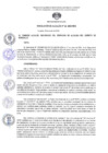 Vista preliminar de documento RA N 22 - Comite de Selecc. EO-RS