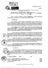 Vista preliminar de documento RDR 10603-2024