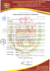 Vista preliminar de documento RESOLUCION DE ALCALDIA N° 006-2025-MDV