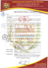 Vista preliminar de documento RESOLUCION DE ALCALDIA N° 007-2025-MDV