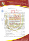 Vista preliminar de documento RESOLUCION DE ALCALDIA N° 008-2025-MDV