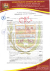 Vista preliminar de documento RESOLUCION DE ALCALDIA N° 009-2025-MDV