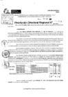 Vista preliminar de documento RDR 10608-2024