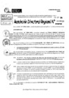 Vista preliminar de documento RDR 10616-2024