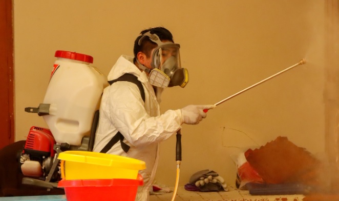 Acciones de fumigación en el centro de acogida recidencial especializado mejoran el entorno sanitario