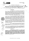 Vista preliminar de documento RDR 10618-2024