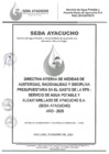 Vista preliminar de documento Directiva -2025