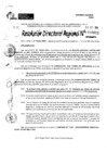 Vista preliminar de documento RDR 10622-2024