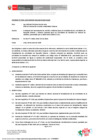 Vista preliminar de documento RD_013_2025_MINEM_DGAAM