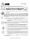 Vista preliminar de documento RDR 10632-2024